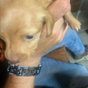 Meet your Posher, Kaitlyn